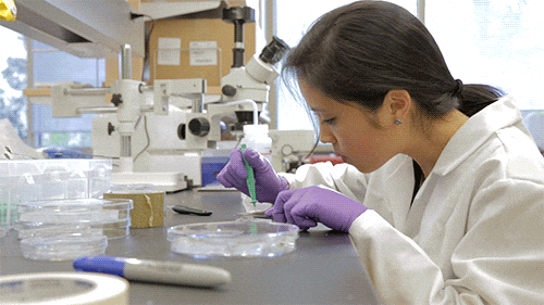 health medicine gif by university of california